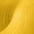 Žlutá